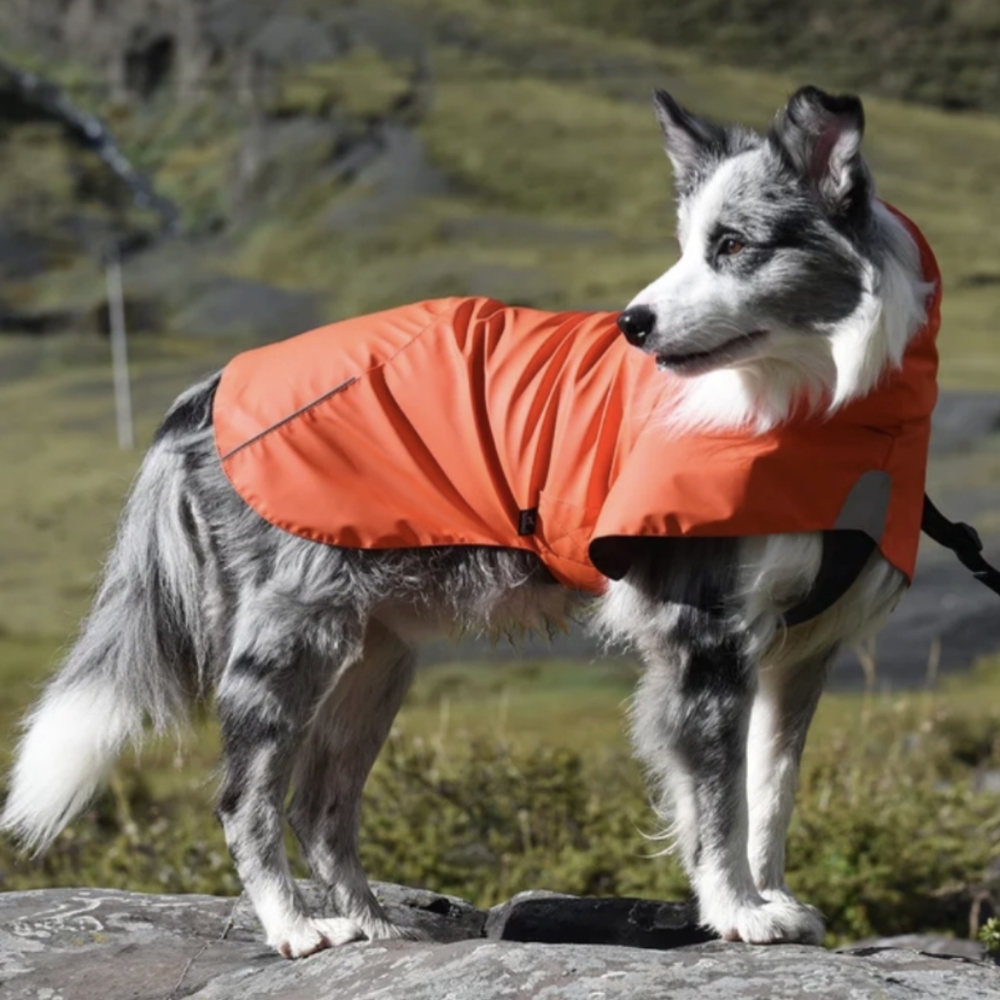 Large Doggy Raincoat 🌧️